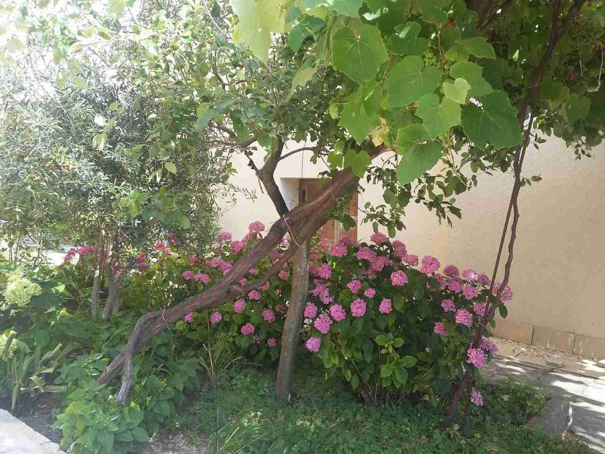 Guest House Adriya Primorsko Exterior photo